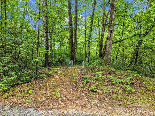 0 Quail Ridge Rd Unit 214, Rutherfordton, NC 28139