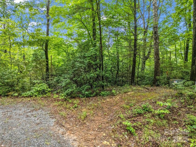 0 Quail Ridge Rd Unit 214, Rutherfordton, NC 28139