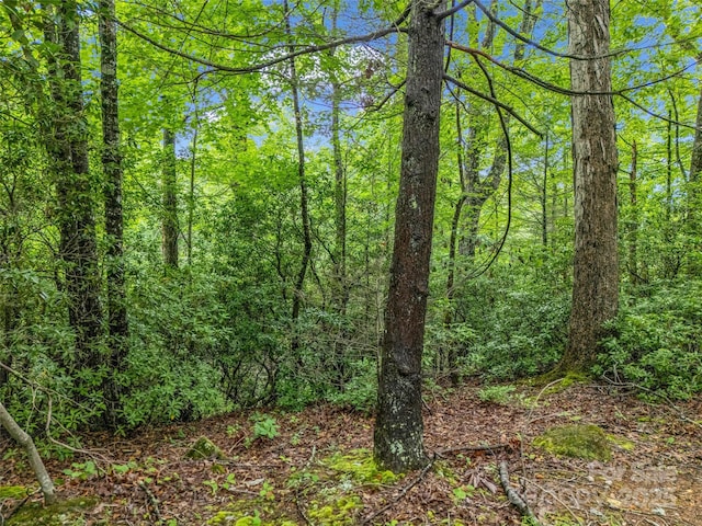 0 Quail Ridge Rd Unit 214, Rutherfordton, NC 28139