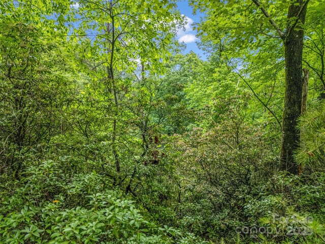 0 Quail Ridge Rd Unit 214, Rutherfordton, NC 28139