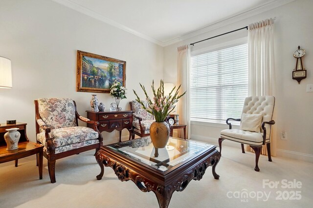 1720 Mountain Park Dr, Charlotte, NC 28214 - photo 16