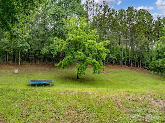310 Yarbro Rd, Kings Mountain, NC 28086 - view of yard with a trampoline