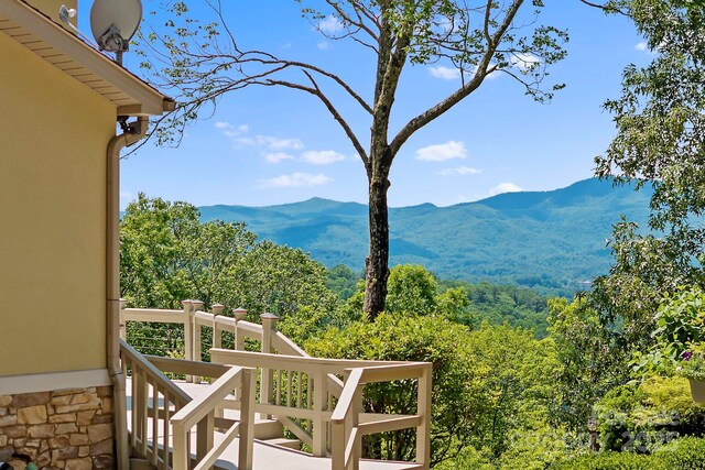 142 Paisley Ln, Pisgah Forest, NC 28768 - photo 37