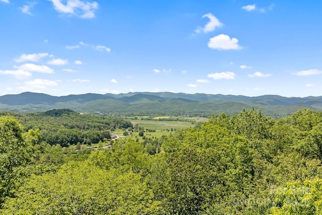 142 Paisley Ln, Pisgah Forest, NC 28768 - photo 41