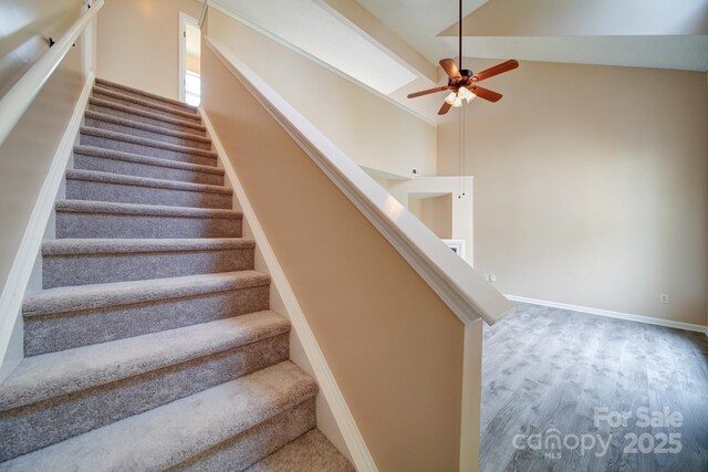 5436 Scarlet Sage Dr, Charlotte, NC 28215 - photo 12