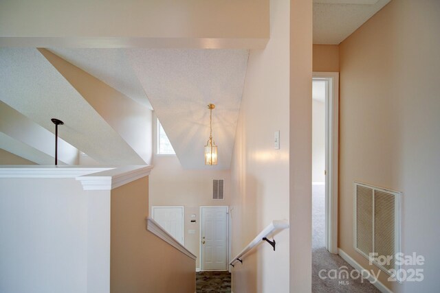 5436 Scarlet Sage Dr, Charlotte, NC 28215 - photo 13