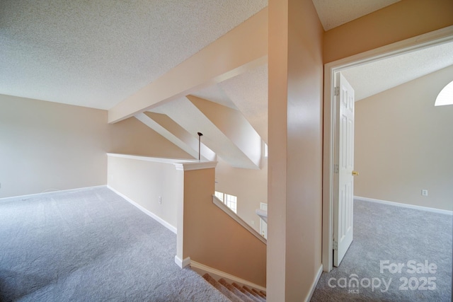 5436 Scarlet Sage Dr, Charlotte, NC 28215 - photo 15