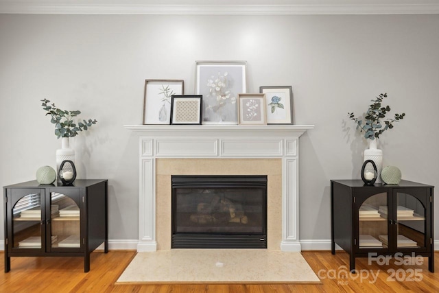 11139 Tradition View Dr, Charlotte, NC 28269 - detailed view of wood finished floors, a glass covered fireplace, ornamental molding, and baseboards