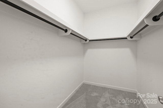 11139 Tradition View Dr, Charlotte, NC 28269 - walk in closet featuring carpet flooring