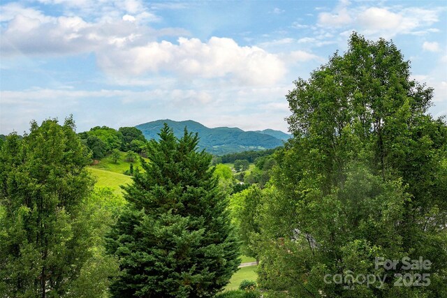 59 Grace Ridge Rd Unit 13-3, Waynesville, NC 28786 - photo 27