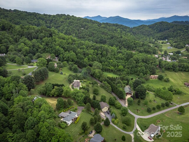 59 Grace Ridge Rd Unit 13-3, Waynesville, NC 28786 - photo 42