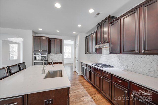 2785 Disney Pl, Indian Land, SC 29707 - kitchen featuring a sink, stainless steel appliances, arched walkways, under cabinet range hood, and light countertops