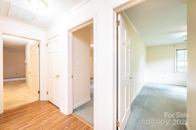 1304 5th Street Cir NW, Hickory, NC 28601 - hall featuring crown molding, light colored carpet, baseboards, and light wood-type flooring