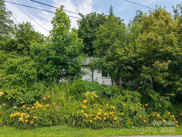 111 Altamahaw Ave, Black Mountain, NC 28711 - view of yard