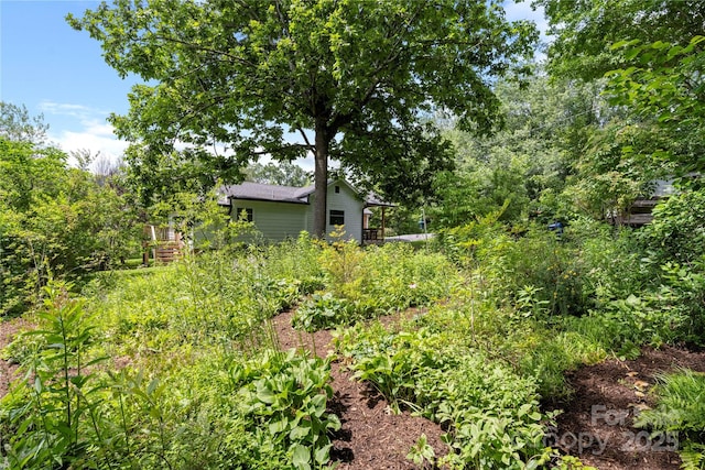 111 Altamahaw Ave, Black Mountain, NC 28711 - view of yard featuring a vegetable garden