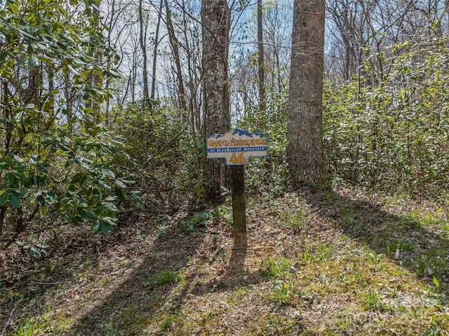 83 Waterstone Dr Unit 46, Hendersonville, NC 28792 - photo 1