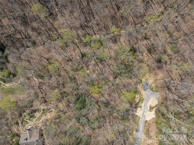 83 Waterstone Dr Unit 46, Hendersonville, NC 28792 - photo 2