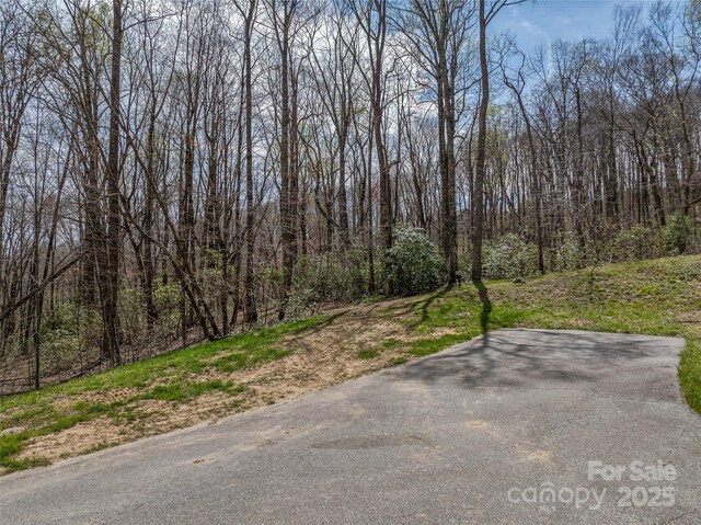 83 Waterstone Dr Unit 46, Hendersonville, NC 28792 - photo 4