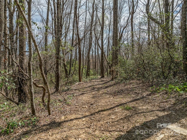 83 Waterstone Dr Unit 46, Hendersonville, NC 28792 - photo 6