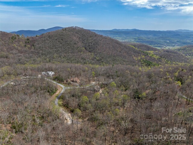 83 Waterstone Dr Unit 46, Hendersonville, NC 28792 - photo 7