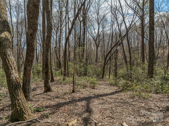 83 Waterstone Dr Unit 46, Hendersonville, NC 28792 - photo 8