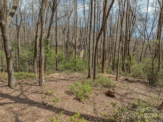 83 Waterstone Dr Unit 46, Hendersonville, NC 28792 - photo 10