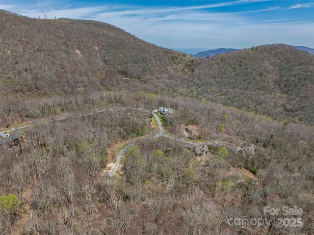 83 Waterstone Dr Unit 46, Hendersonville, NC 28792 - photo 16