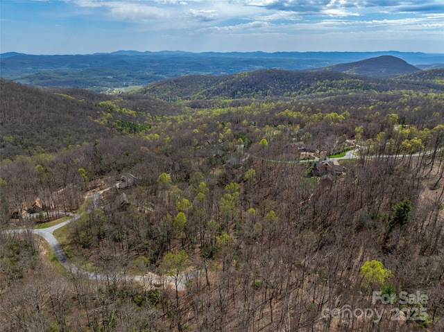 83 Waterstone Dr Unit 46, Hendersonville, NC 28792 - photo 18