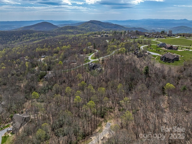 83 Waterstone Dr Unit 46, Hendersonville, NC 28792 - photo 20