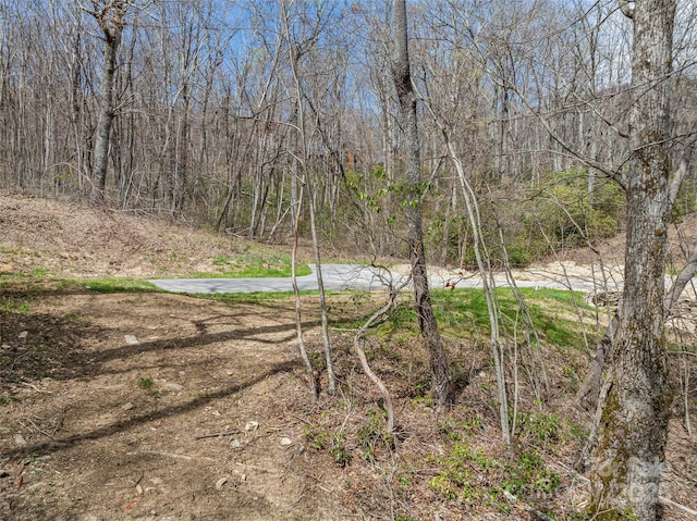 83 Waterstone Dr Unit 46, Hendersonville, NC 28792 - photo 21