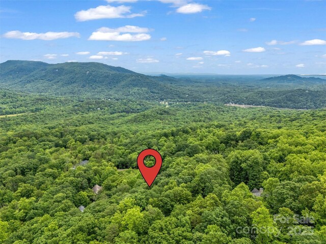 0 Hummingbird Court, Lake Lure, NC 28746 - photo 3