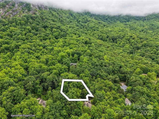 0 Hummingbird Court, Lake Lure, NC 28746 - photo 4