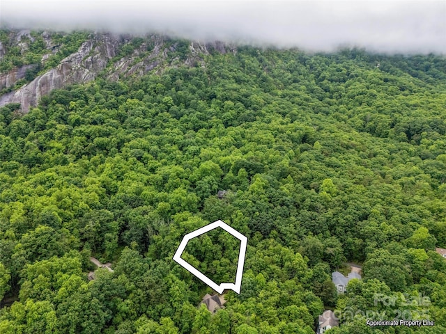 0 Hummingbird Court, Lake Lure, NC 28746 - photo 5