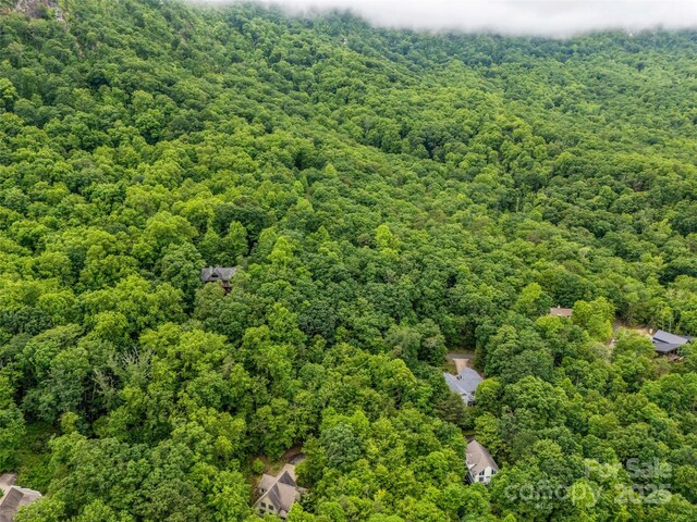 0 Hummingbird Court, Lake Lure, NC 28746 - photo 8