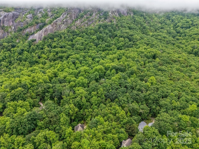 0 Hummingbird Court, Lake Lure, NC 28746 - photo 9