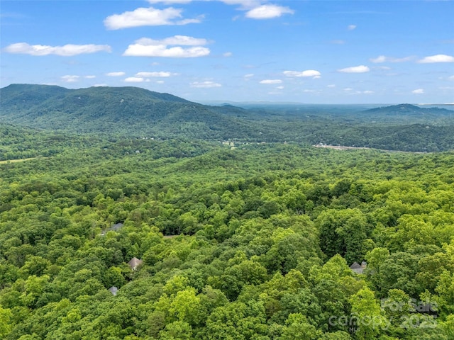0 Hummingbird Court, Lake Lure, NC 28746 - photo 12