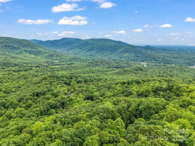 0 Hummingbird Court, Lake Lure, NC 28746 - photo 13