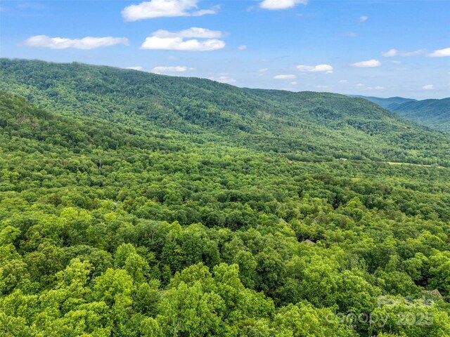 0 Hummingbird Court, Lake Lure, NC 28746 - photo 15