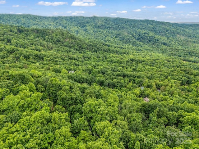 0 Hummingbird Court, Lake Lure, NC 28746 - photo 16