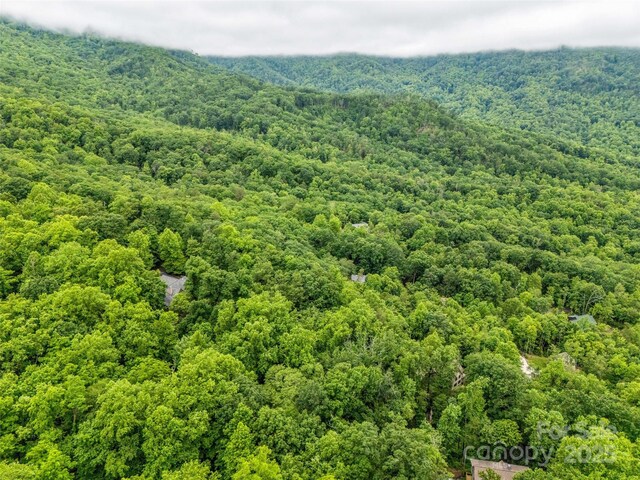 0 Hummingbird Court, Lake Lure, NC 28746 - photo 17