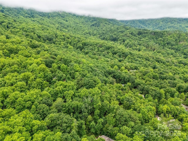 0 Hummingbird Court, Lake Lure, NC 28746 - photo 18