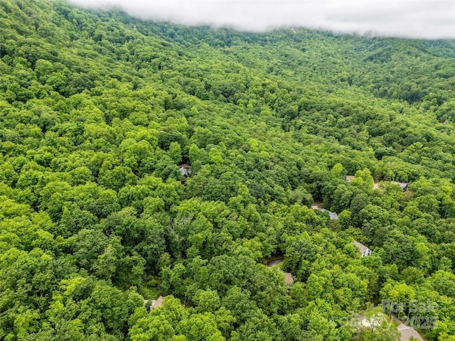 0 Hummingbird Court, Lake Lure, NC 28746 - photo 19