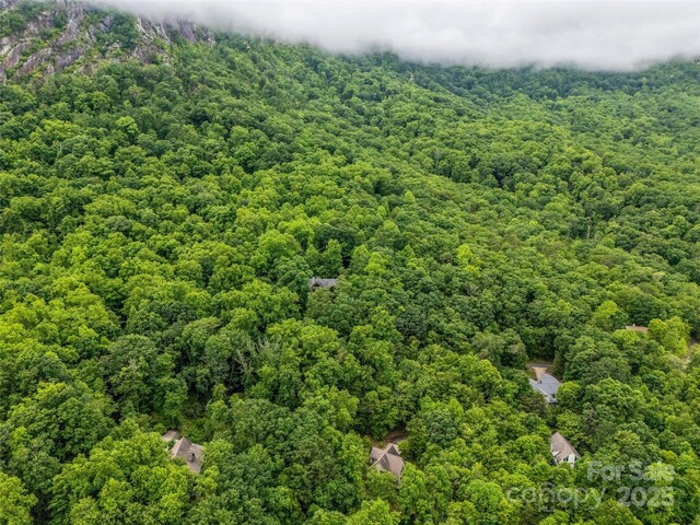 0 Hummingbird Court, Lake Lure, NC 28746 - photo 20