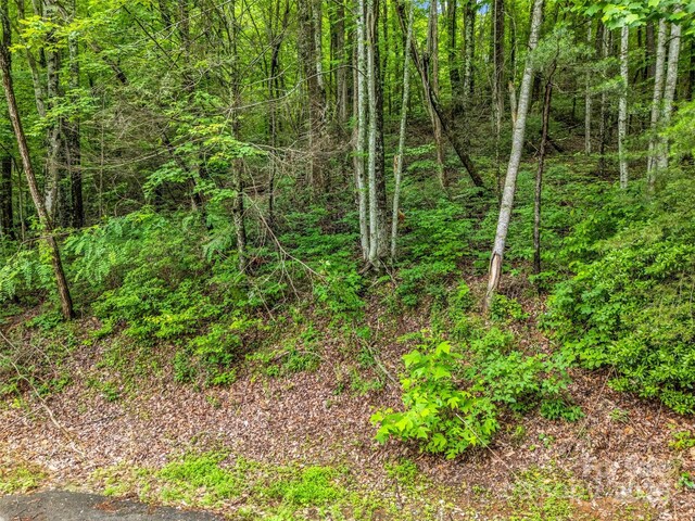 0 Hummingbird Court, Lake Lure, NC 28746 - photo 22