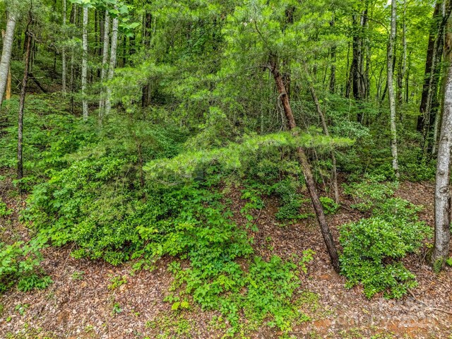 0 Hummingbird Court, Lake Lure, NC 28746 - photo 23