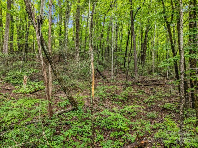 0 Hummingbird Court, Lake Lure, NC 28746 - photo 27