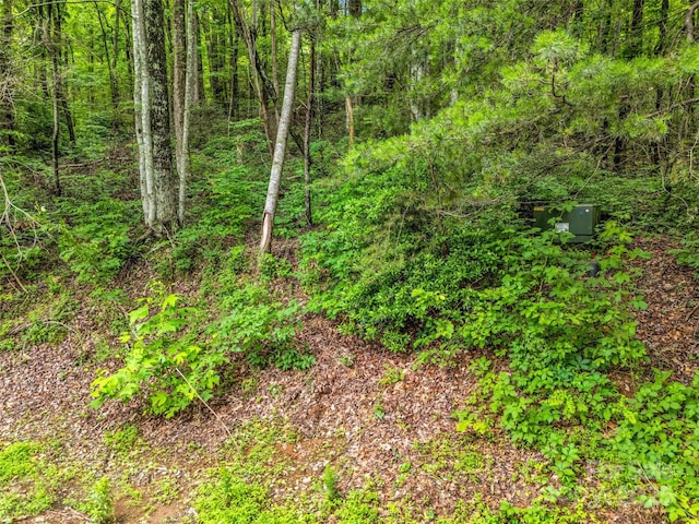 0 Hummingbird Court, Lake Lure, NC 28746 - photo 28