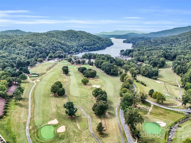 0 Hummingbird Court, Lake Lure, NC 28746 - photo 33