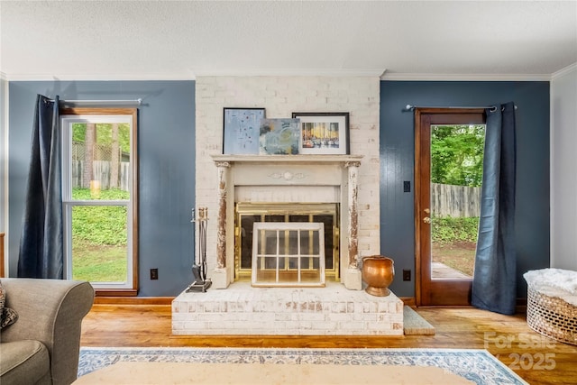 4848 Spicewood Dr, Charlotte, NC 28227 - living room with wood finished floors, ornamental molding, healthy amount of natural light, and a fireplace