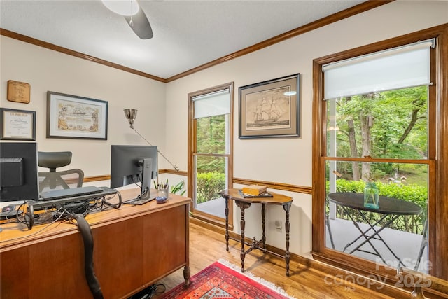 4848 Spicewood Dr, Charlotte, NC 28227 - office space with wood finished floors, a ceiling fan, healthy amount of natural light, crown molding, and baseboards